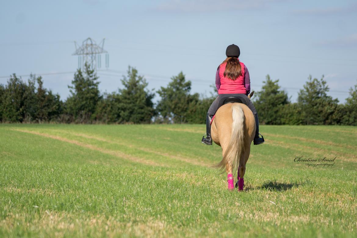 Palomino Kvolsbæk's Exclusive Enya - Eventyr med dig <3 Fotograf Christina Smed billede 20