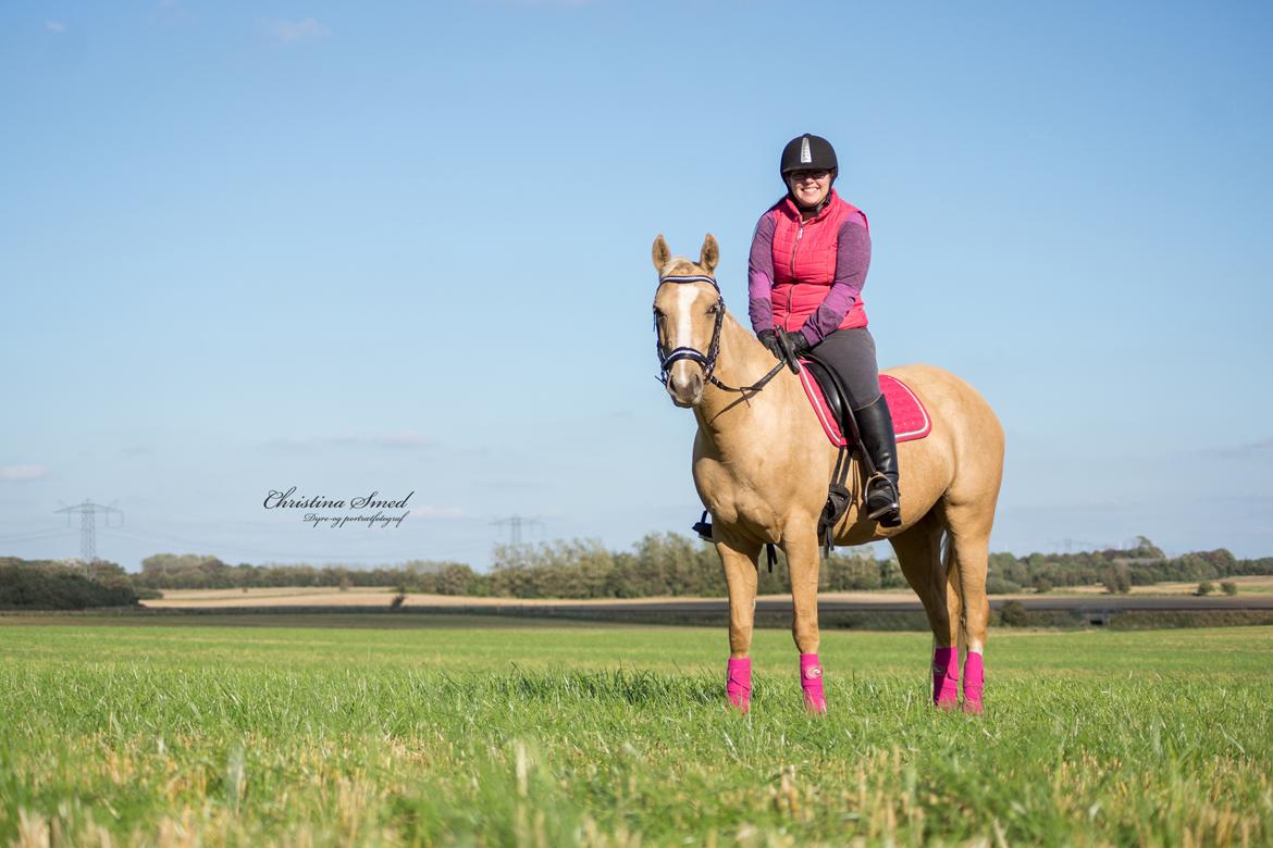Palomino Kvolsbæk's Exclusive Enya - Fotograf Christina Smed  billede 2