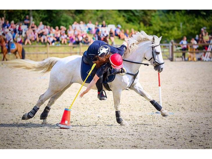 {{currentPhoto.altText}} billede {{currentPhoto.number}}