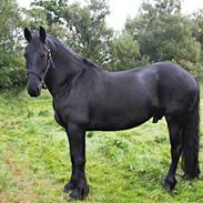 Frieser Herkules af Villa Vibe