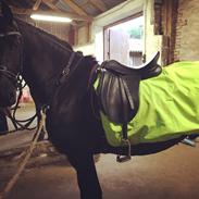 Frieser Herkules af Villa Vibe