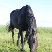 Frieser Herkules af Villa Vibe