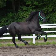 Frieser Nando af Banegården