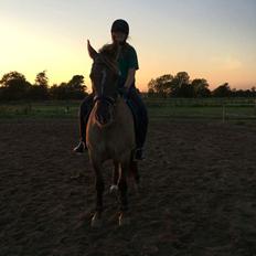 Anden særlig race Elvertågens Arimus