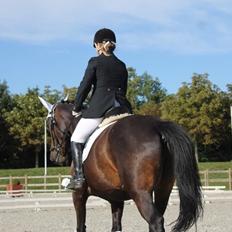 Oldenborg Brændegårds Lapriora