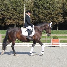 Oldenborg Brændegårds Lapriora