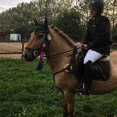 Anden særlig race Adonis