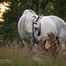 Anden særlig race Twenty