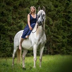 Anden særlig race Twenty