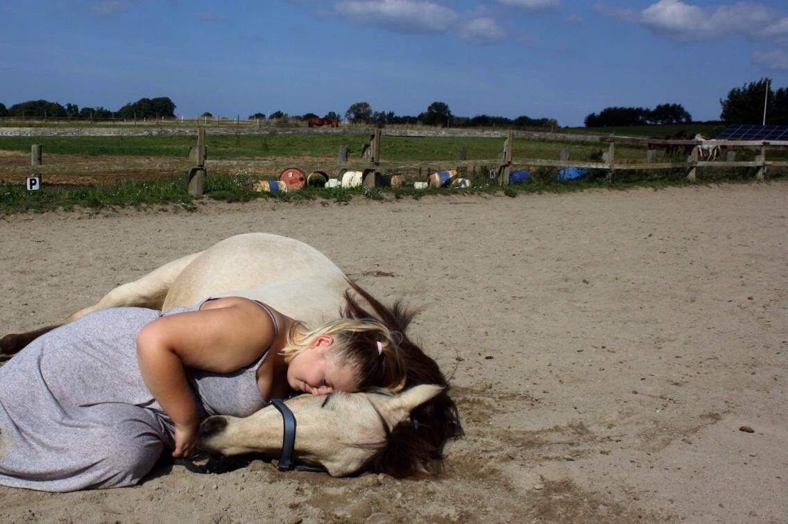 Anden særlig race Poppelgårdens Don billede 14