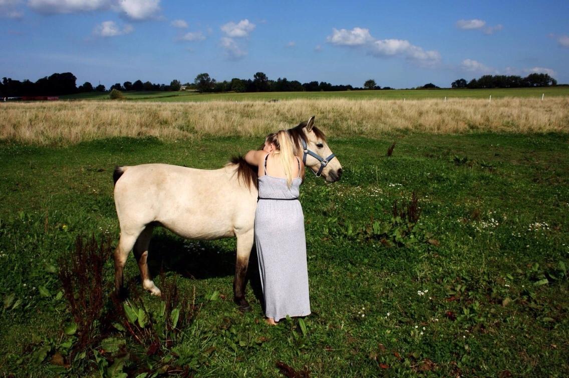 Anden særlig race Poppelgårdens Don billede 17