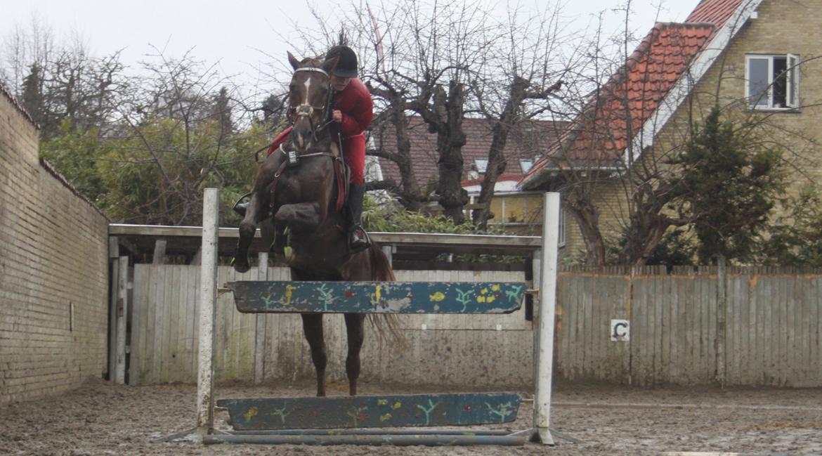 DSP Flying dutchmann  billede 19