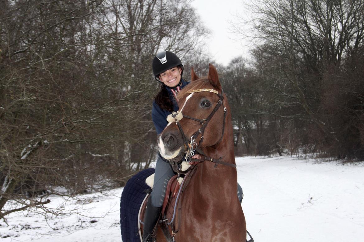 DSP Flying dutchmann  billede 20