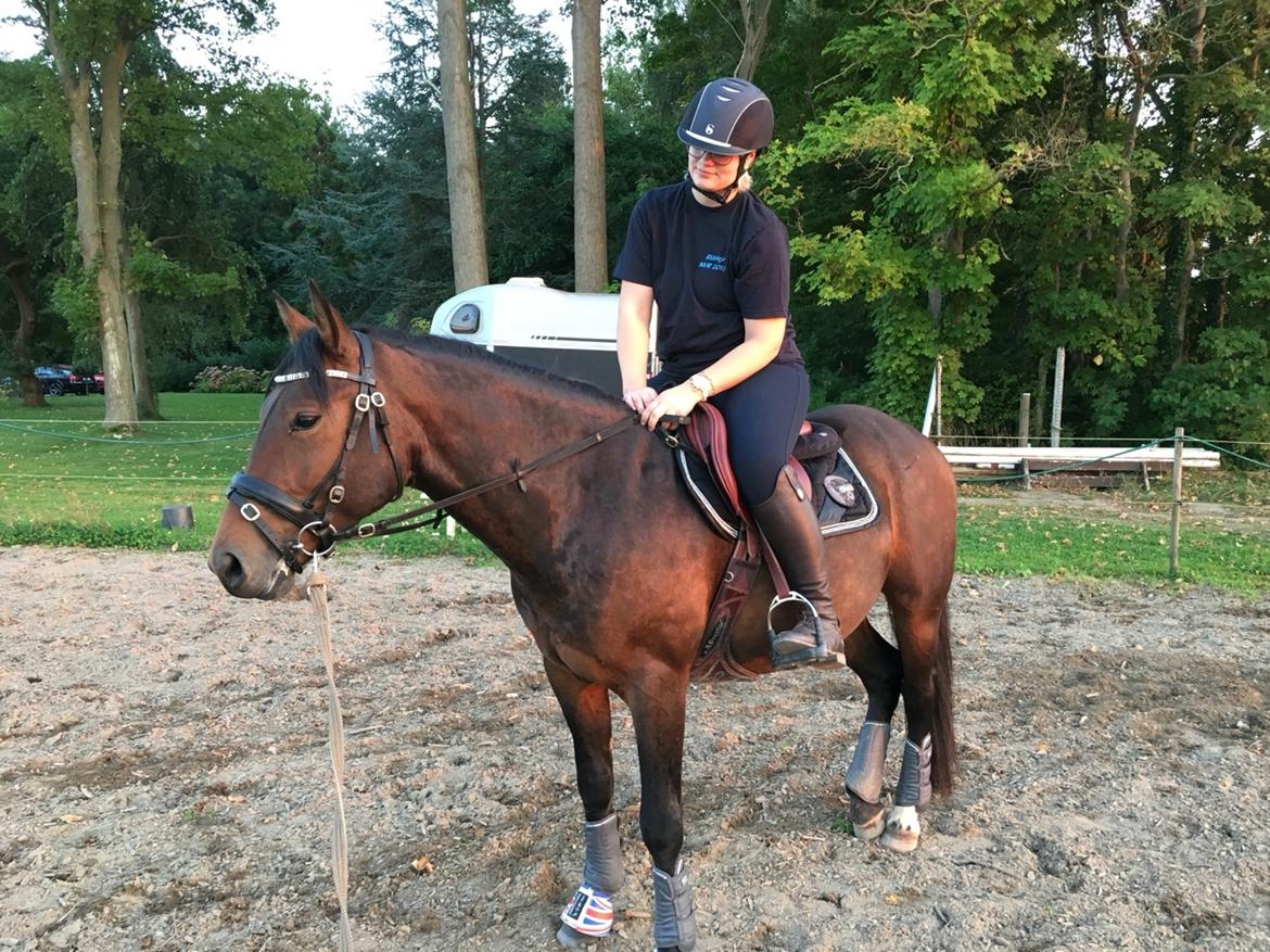 Anden særlig race Fibiger's Påø Laszlo billede 17