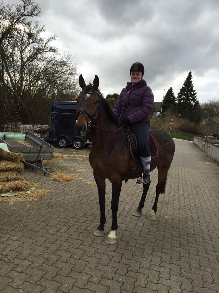 Dansk Varmblod Chanell (Gimpe)  billede 1