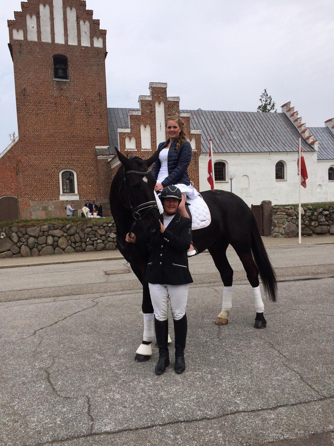 Oldenborg Robin billede 4