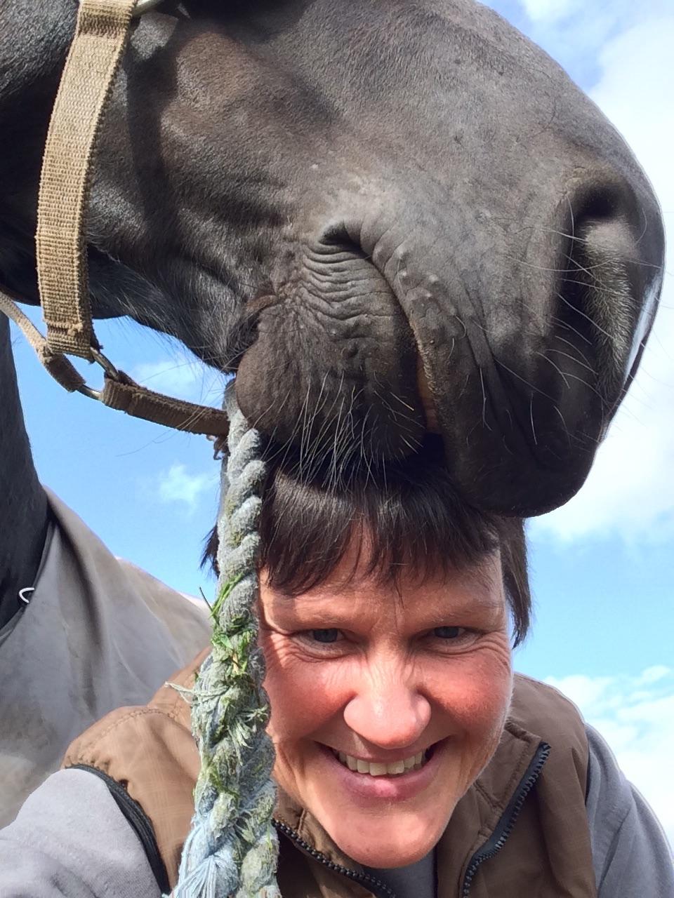 Oldenborg Robin billede 5