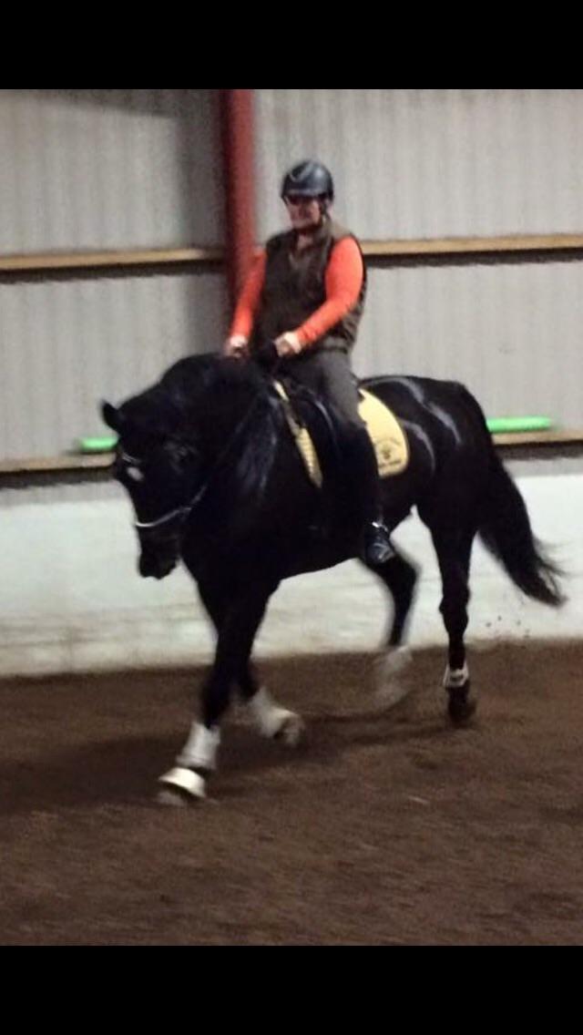 Oldenborg Robin billede 17