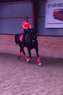 Oldenborg Robin billede 12