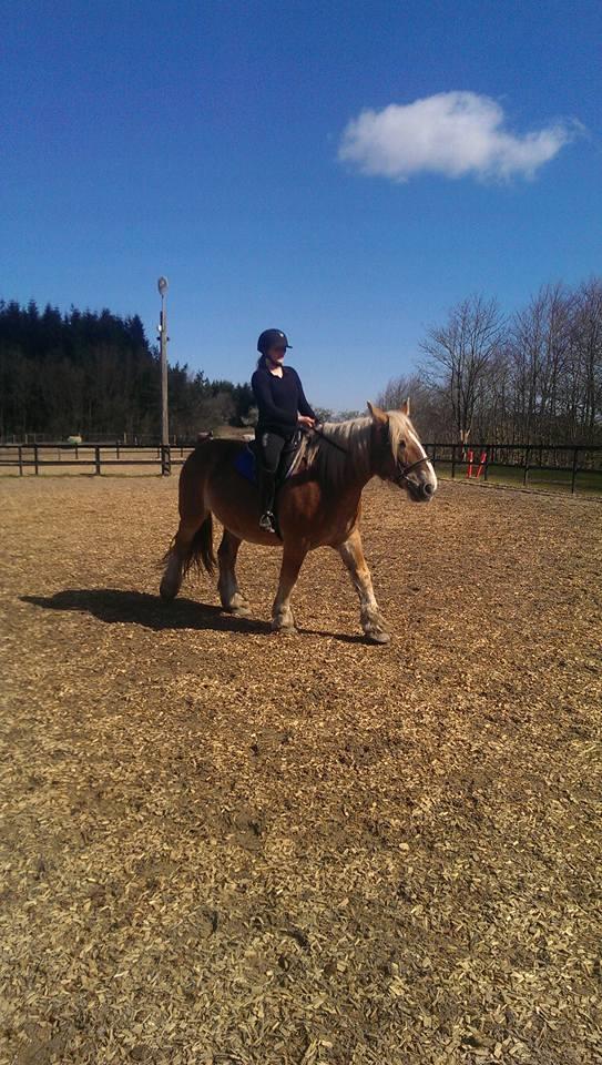 Jyde Mosegårdens Ronja billede 11