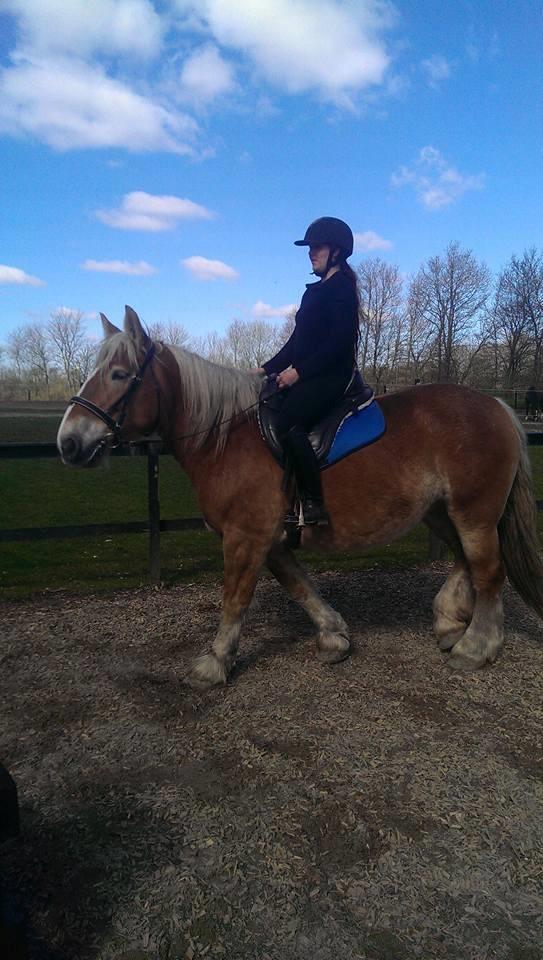 Jyde Mosegårdens Ronja billede 12