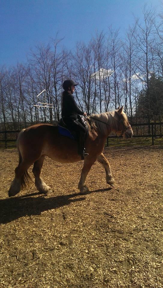 Jyde Mosegårdens Ronja billede 14