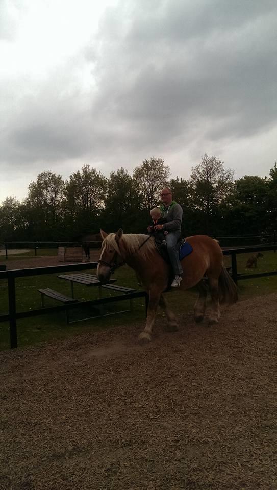 Jyde Mosegårdens Ronja billede 19