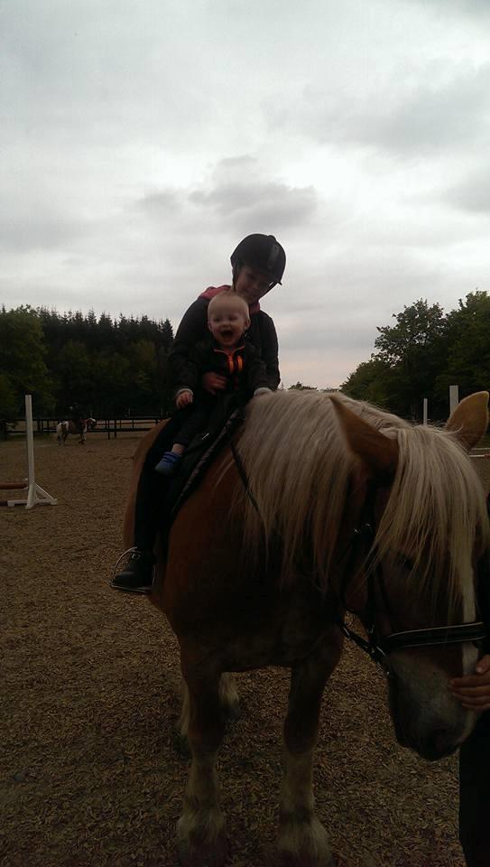 Jyde Mosegårdens Ronja billede 16