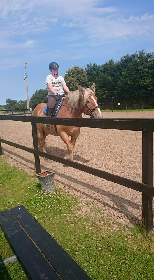 Jyde Mosegårdens Ronja billede 20