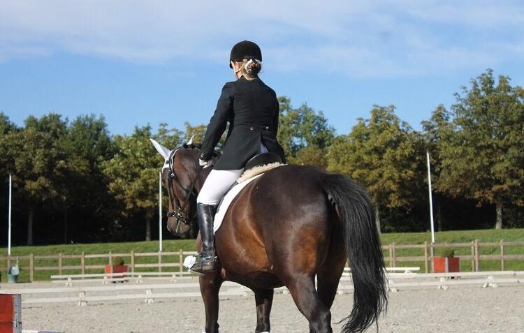 Oldenborg Brændegårds Lapriora billede 2