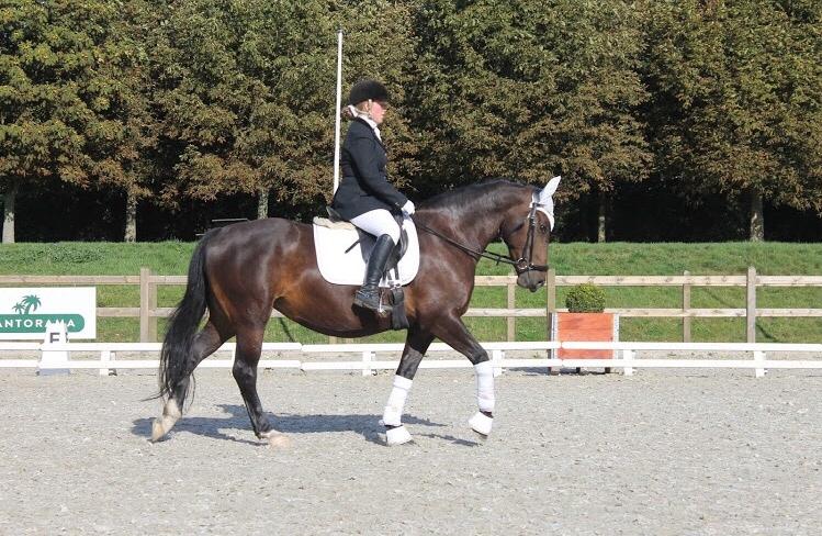 Oldenborg Brændegårds Lapriora billede 3