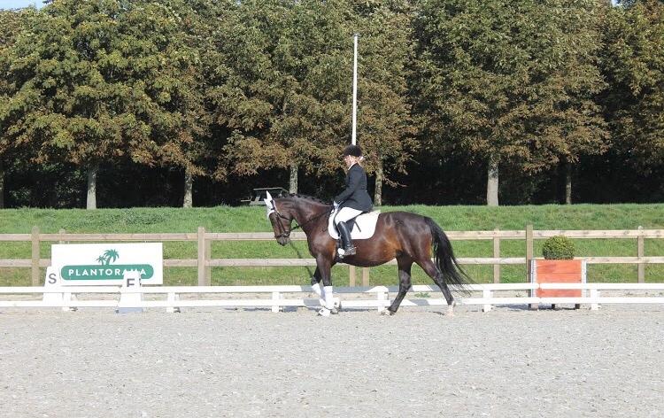 Oldenborg Brændegårds Lapriora billede 5