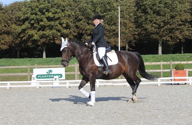 Oldenborg Brændegårds Lapriora billede 4