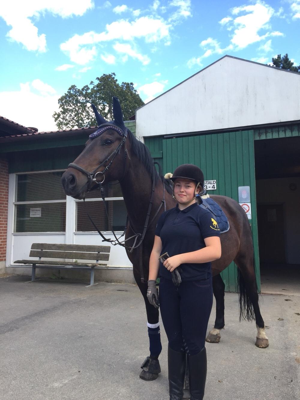 Oldenborg Brændegårds Lapriora billede 8