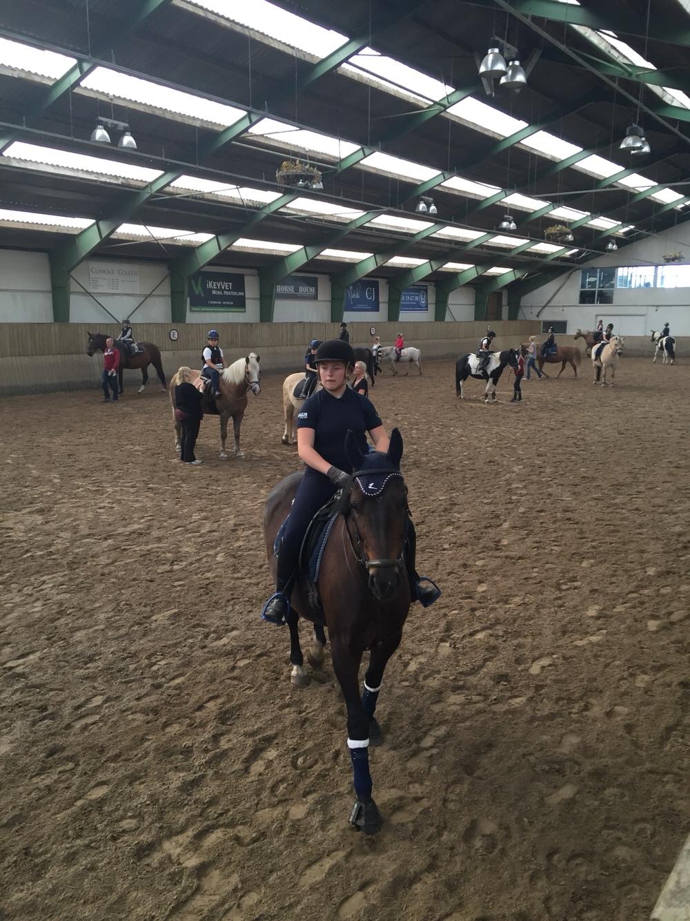 Oldenborg Brændegårds Lapriora billede 9