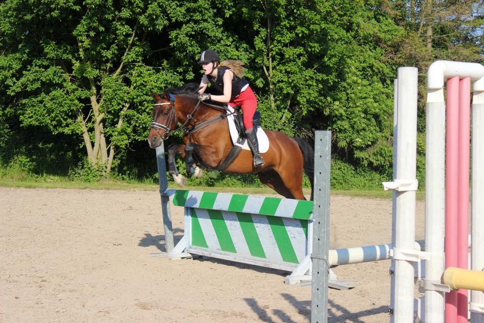 DSP Nørlunds kentucky billede 22