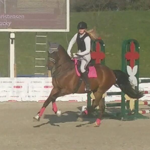 DSP Nørlunds kentucky billede 27