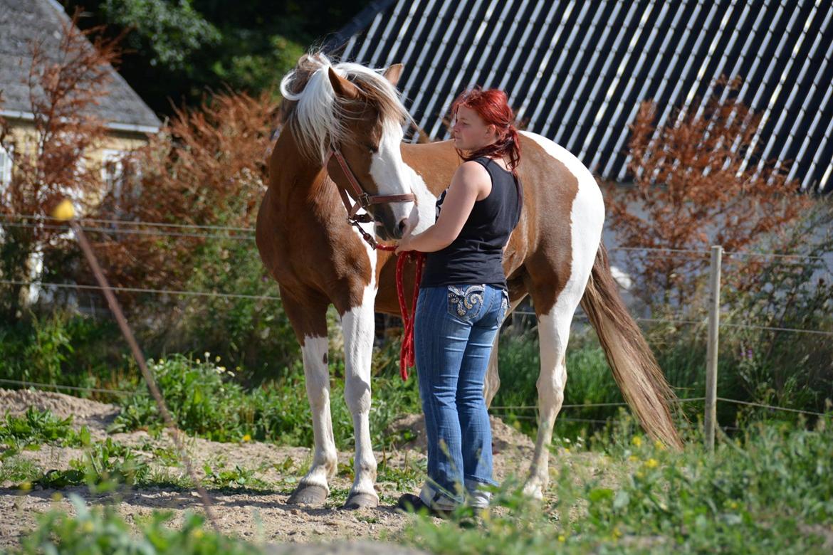 Pinto Ducati - Ridelejr ved Camilla Stormont 2016! :) billede 1
