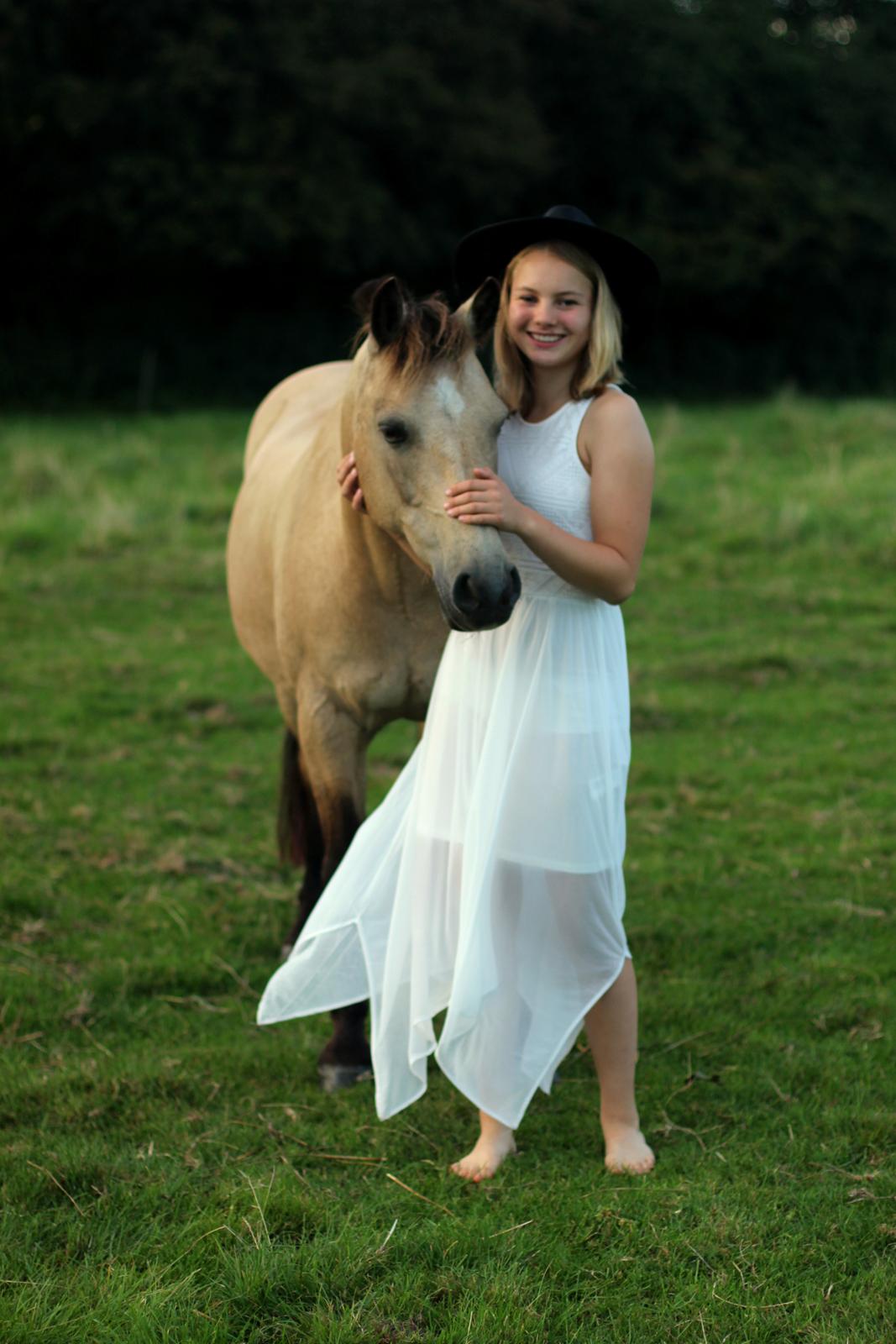 DSP Toojour (Tut) billede 5