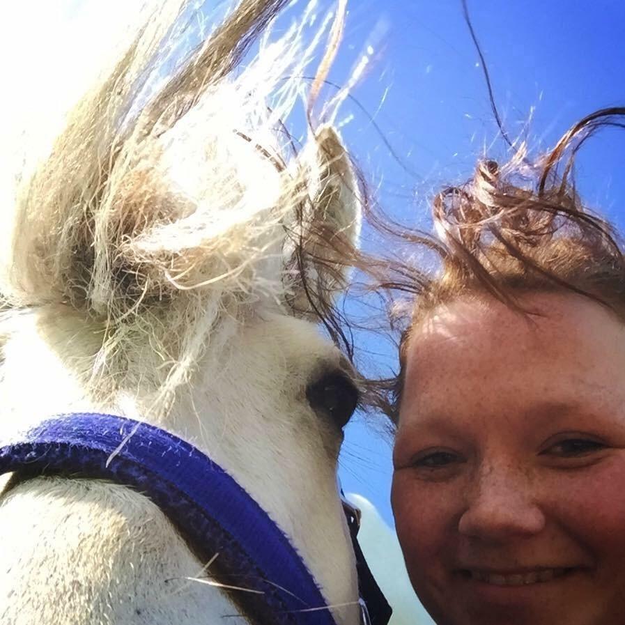 Fjordhest Kaja højmark billede 10