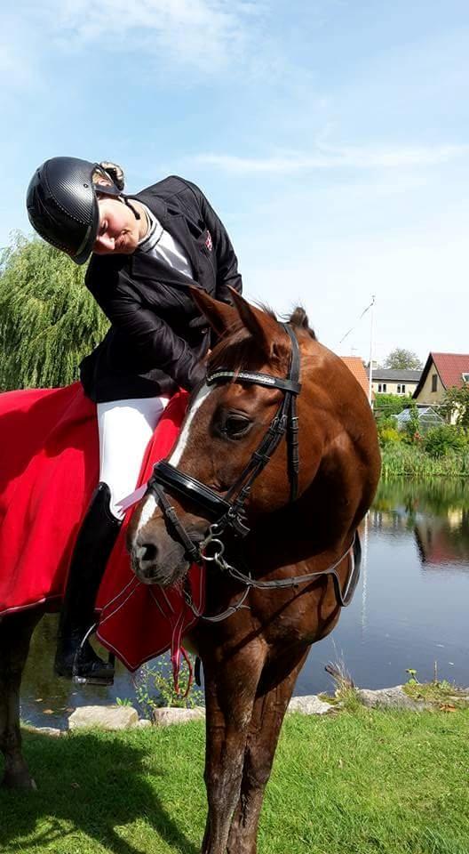 Trakehner Catwalk billede 17