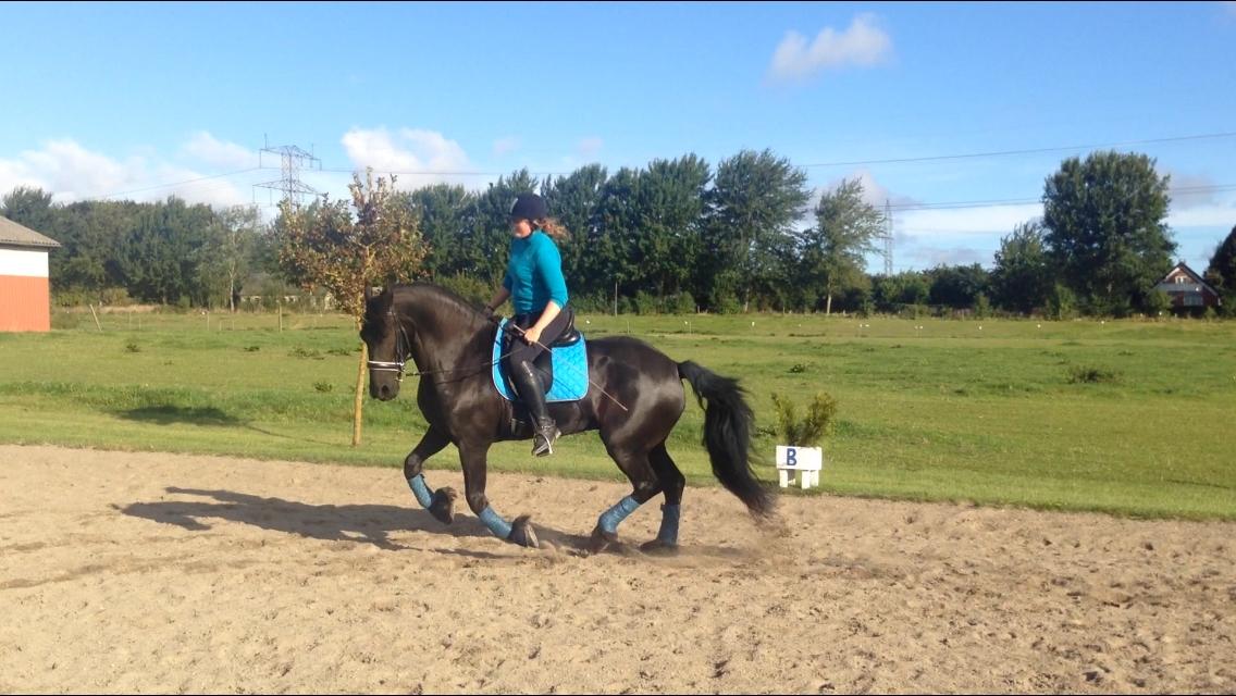 Frieser Nando af Banegården billede 19