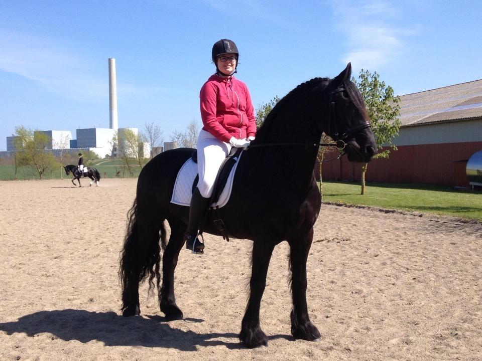 Frieser Nando af Banegården billede 6