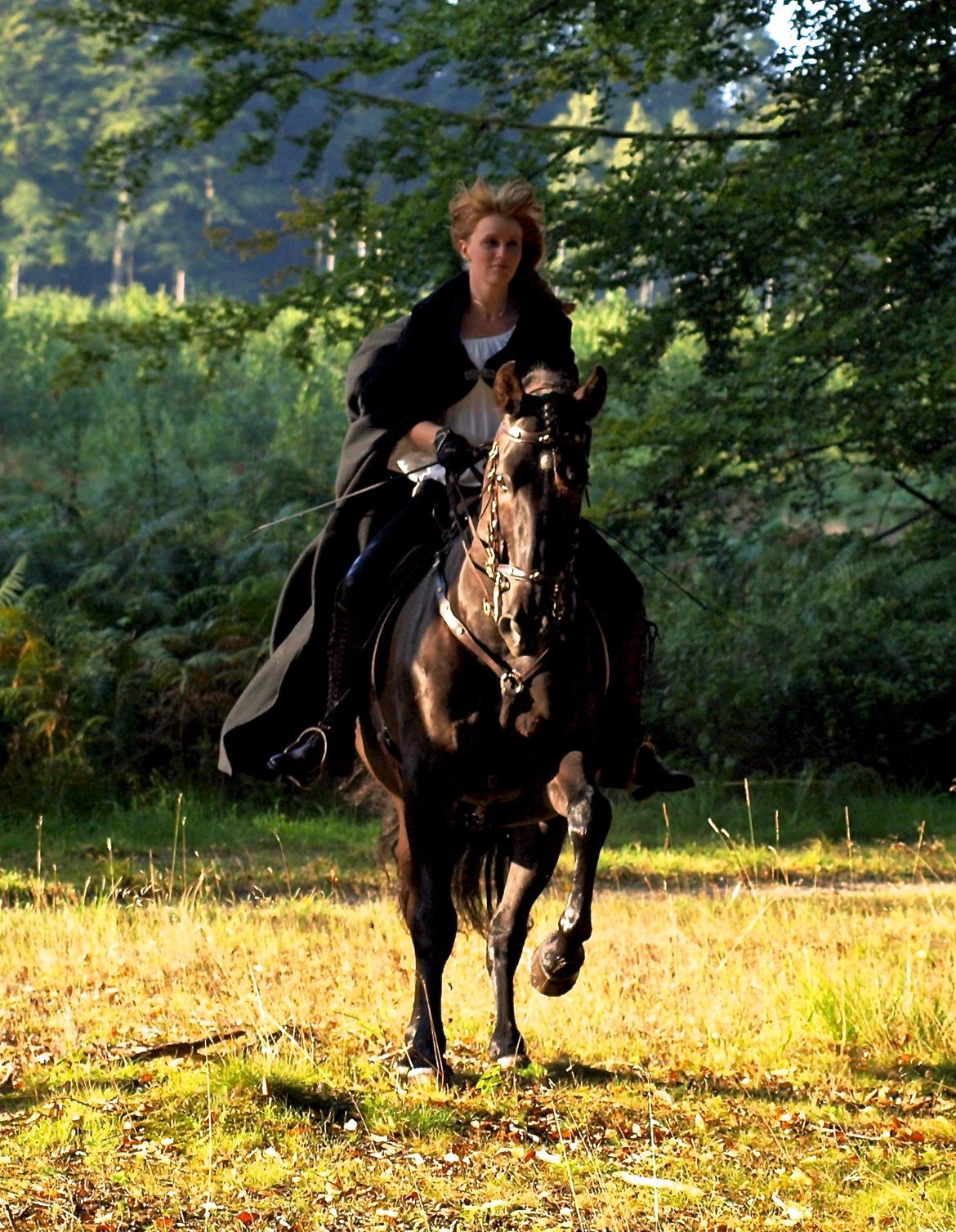 Pura Raza Española Divino XXXVIII billede 37