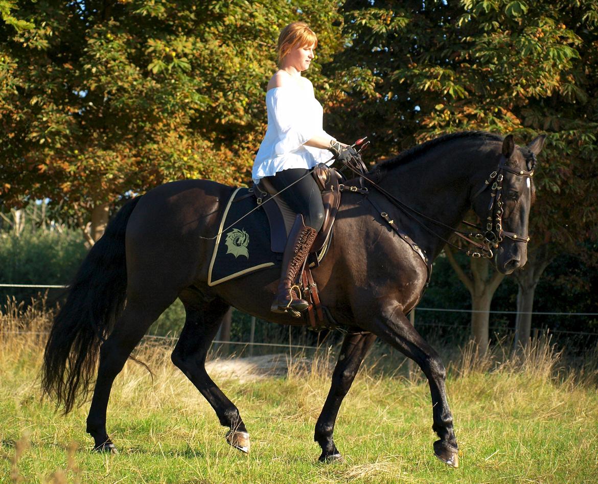 Pura Raza Española Divino XXXVIII billede 43