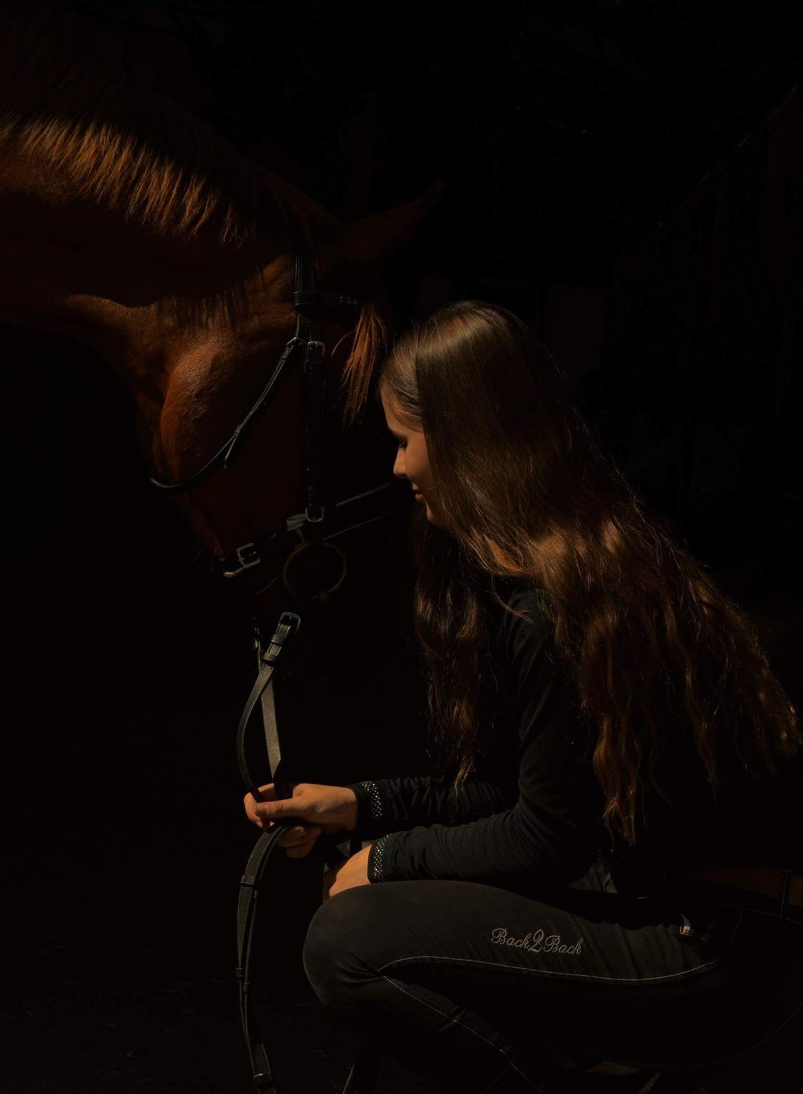 DSP Rawa's Dolce billede 18