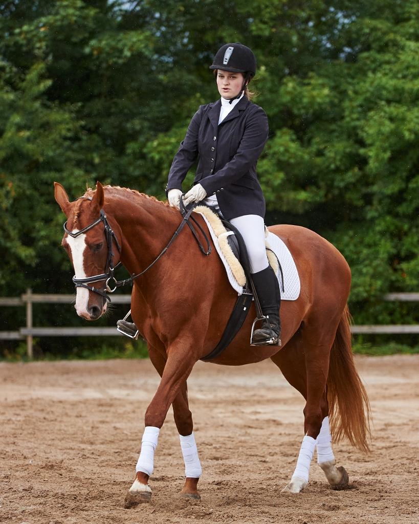 Polsk Varmblod Emma - Mit første stævne d. 29/8 2010 Foto: animal-print billede 21