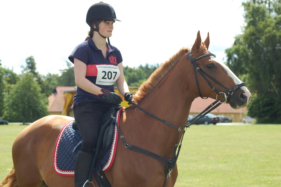 Polsk Varmblod Emma - distance-stævne, Hippoaden 25/6 2011 billede 3