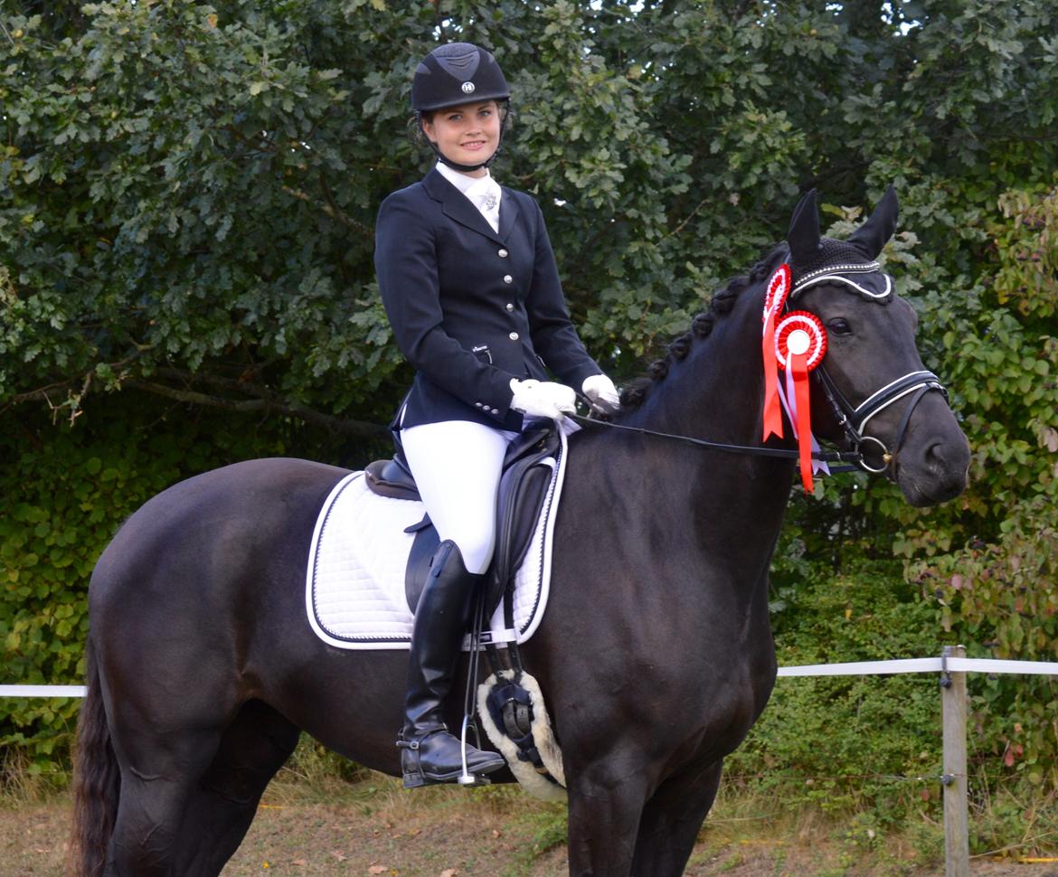 Dansk Varmblod Stald Højgårds Libella billede 11