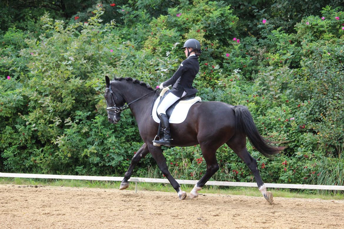 Oldenborg Fillip - Vi giver den gas! Vi er på vej ind i en middeltrav.  billede 9